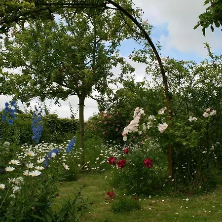 B&B Eenvoud In Overvloed *