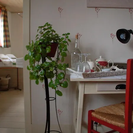 Eenvoud In Overvloed *